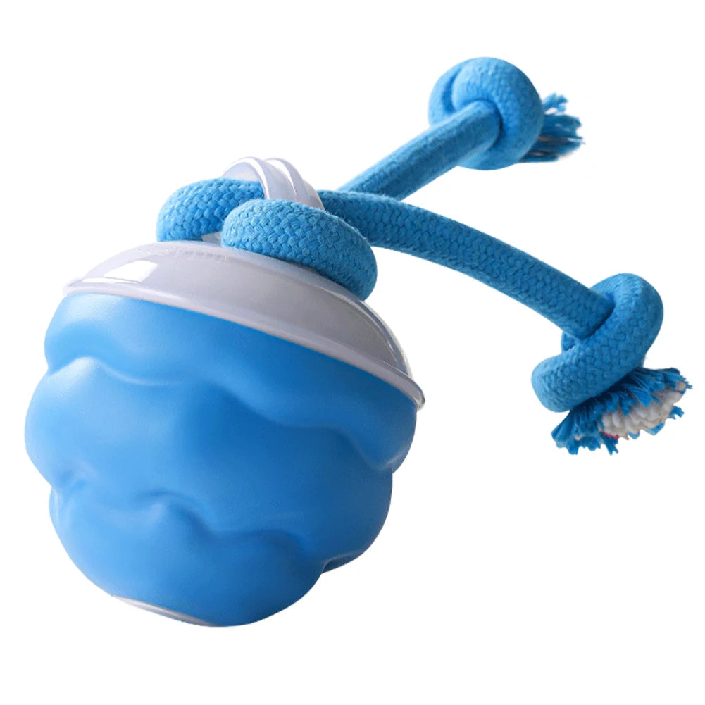 Interactive Dog Toys Ball Electric Rolling Ball USB Rechargeable Motion Activate Cat Toy 3 Modes Pet Exercise Toy for Puppies