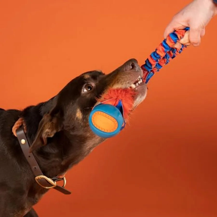 Pocket PowerBall Fauxtastic Pocket-Sized Tug Toy Durable Bungee Tug Toy for Dogs Ideal for Interactive Dog Training and Dogs of
