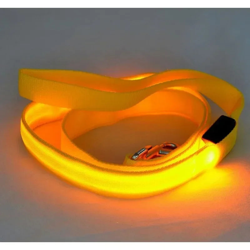 Flashing Leash, Electronic Glowing Dog Light, Dog LED, Luminous Safety Up Accessories For Lead