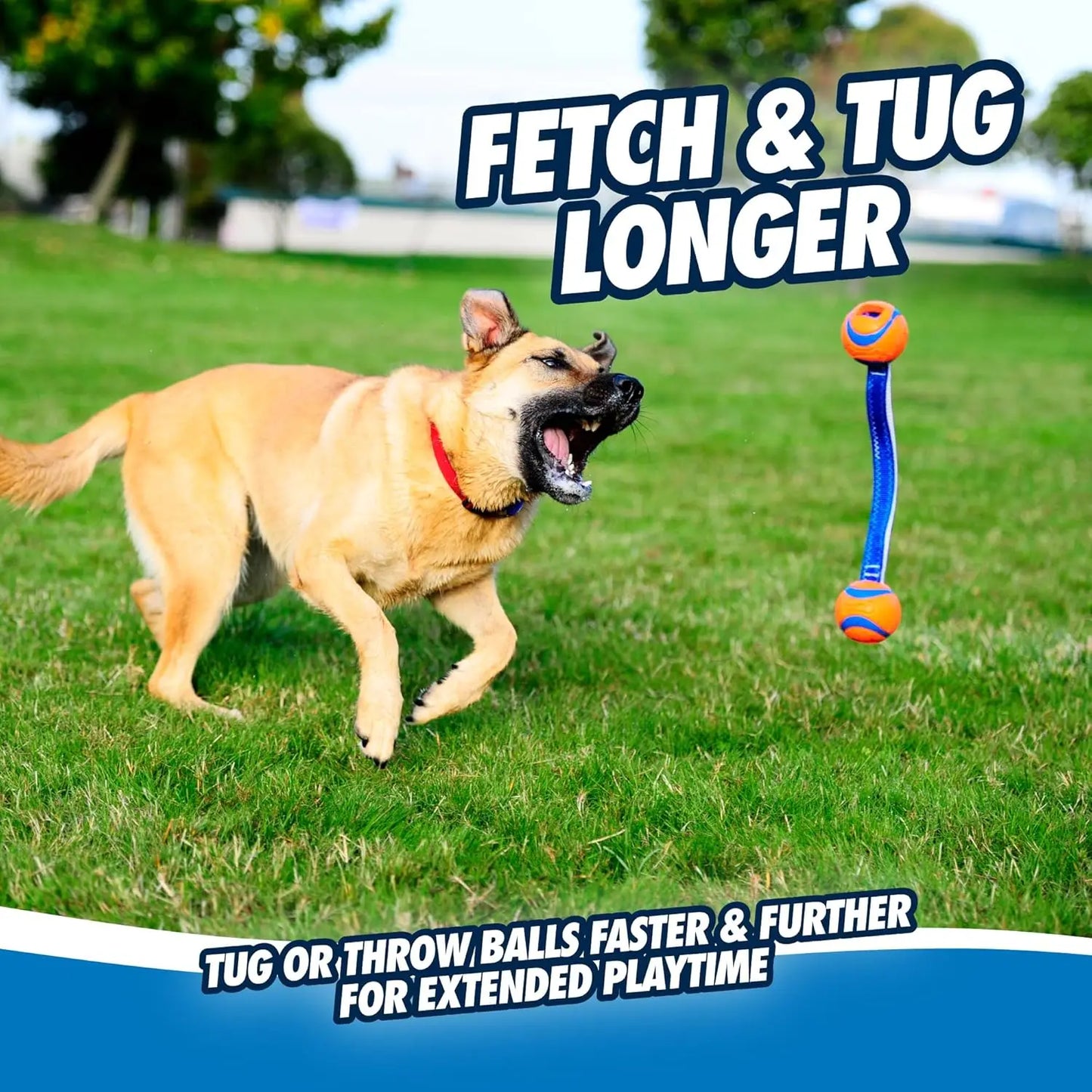 Durable Dog Toy with Two Balls on Nylon Cord for Fetch and Tug-of-War, Medium Size for Breeds 20-60 lbs, Orange and Blue