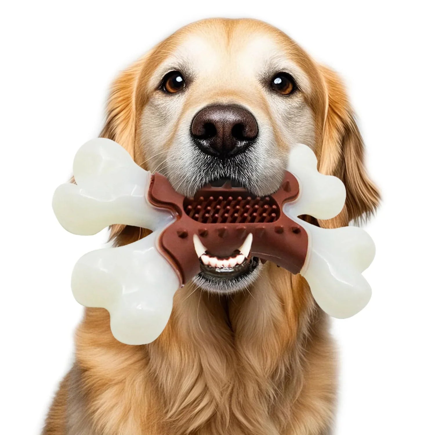Chew toys