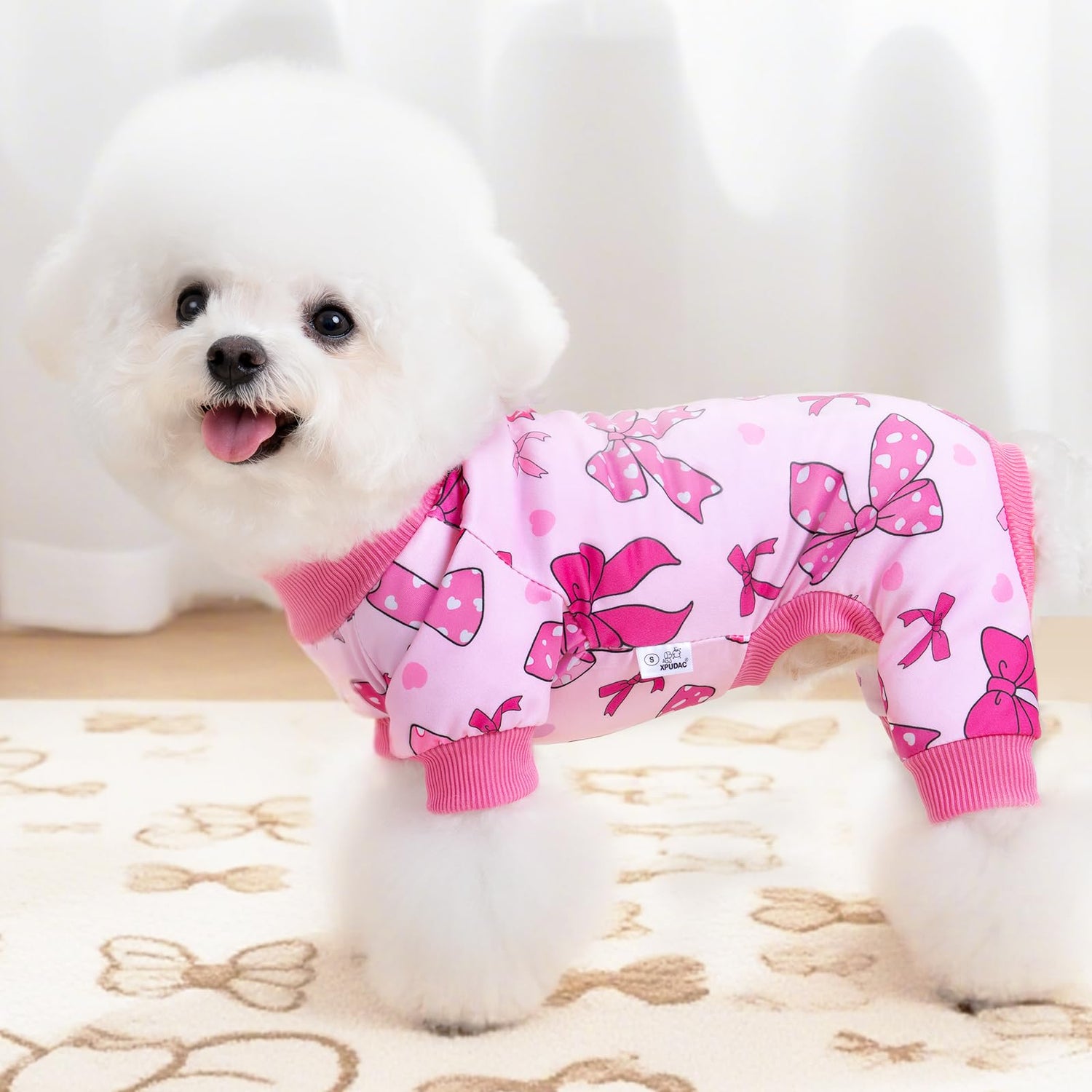 Pet Apparel