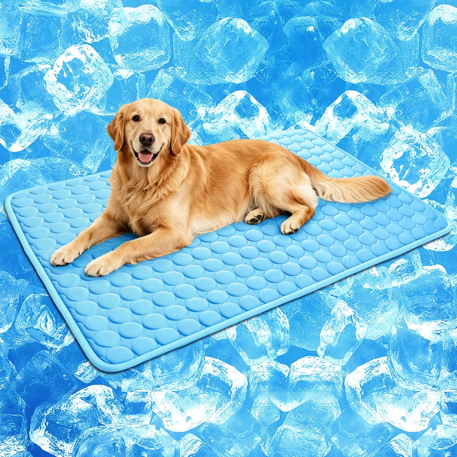 Cooling/Warming Beds