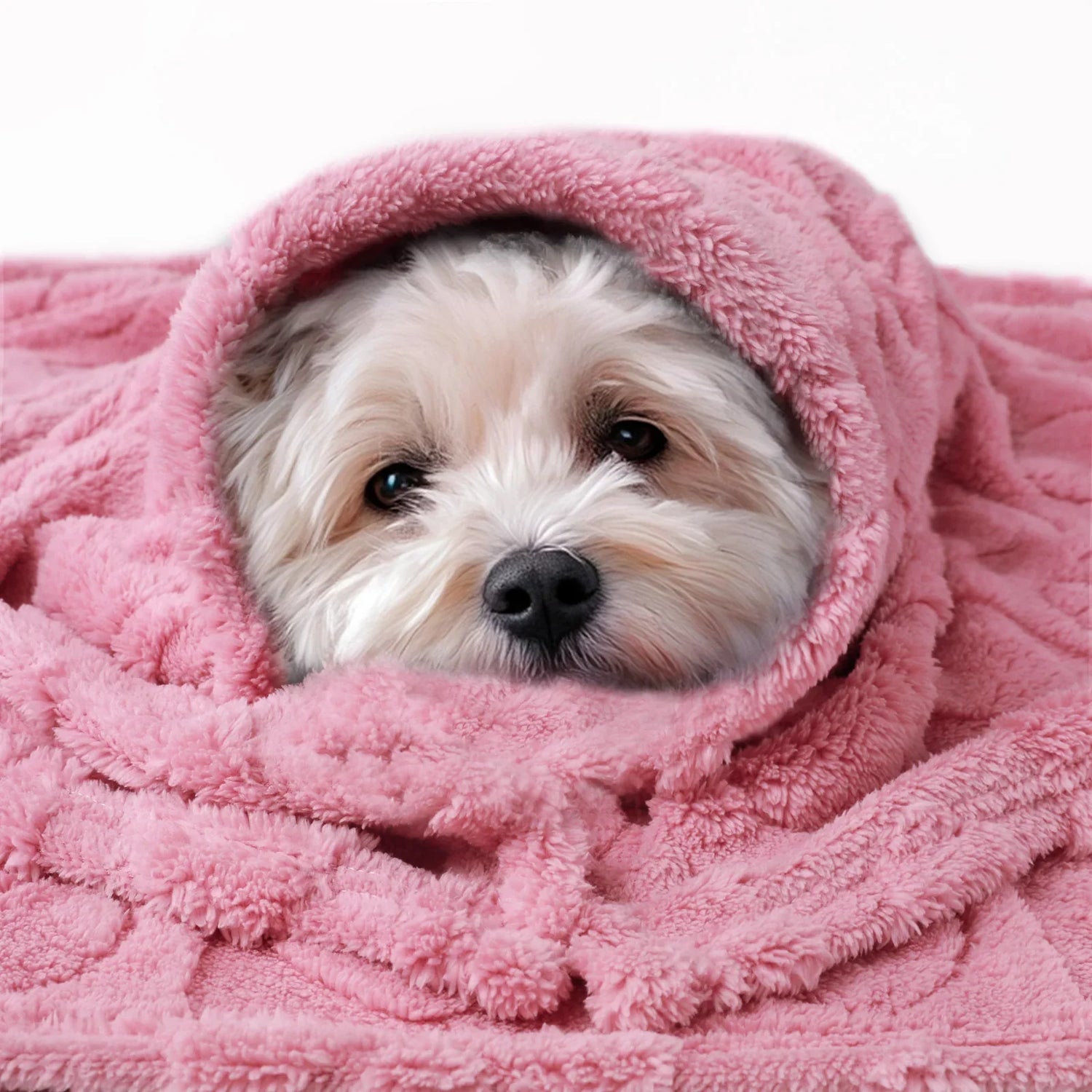 Blankets
