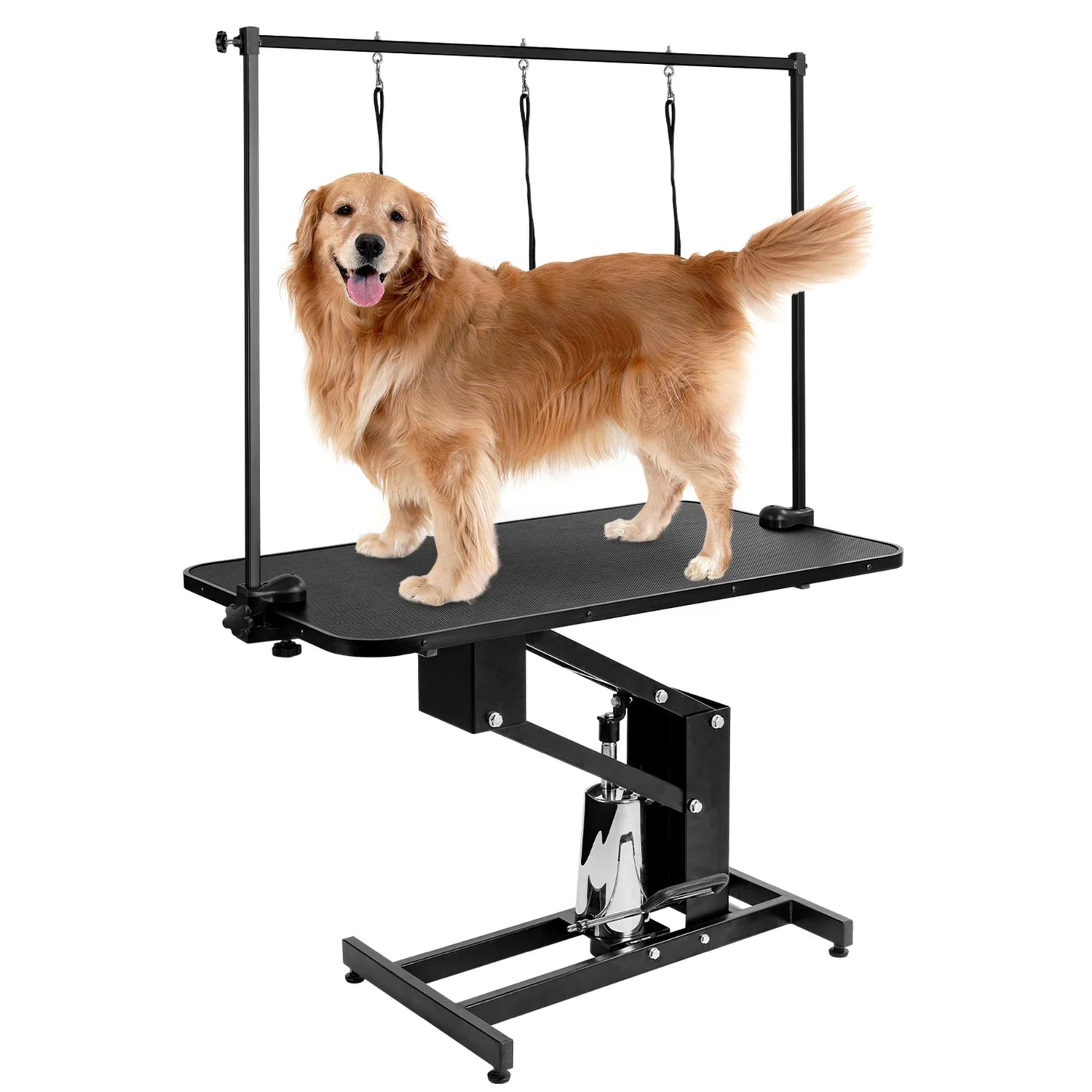 Grooming Equipment