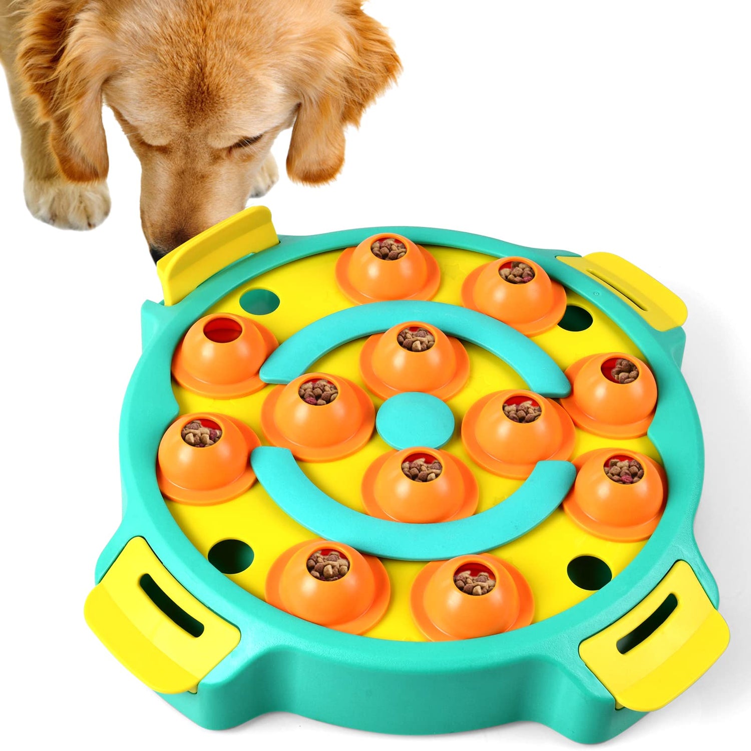 Interactive IQ Training