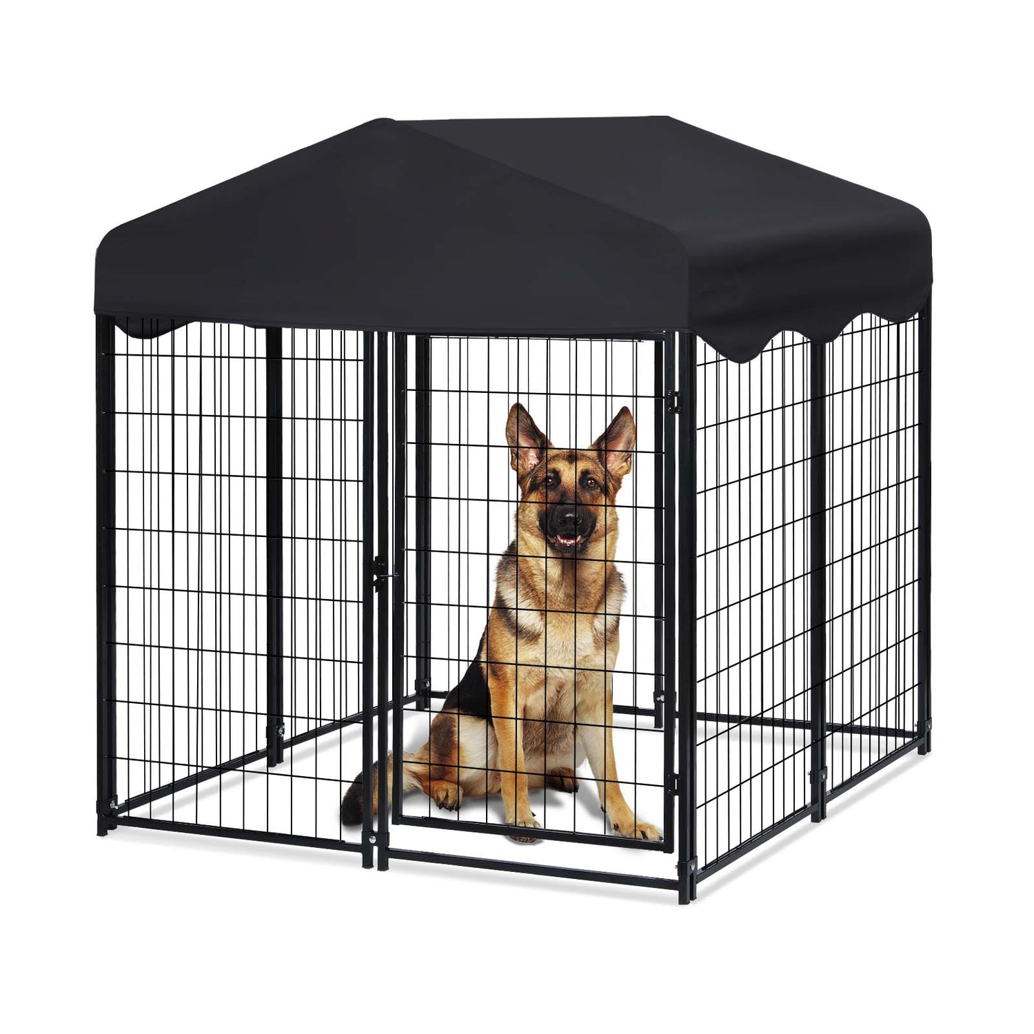 Outdoor Kennels