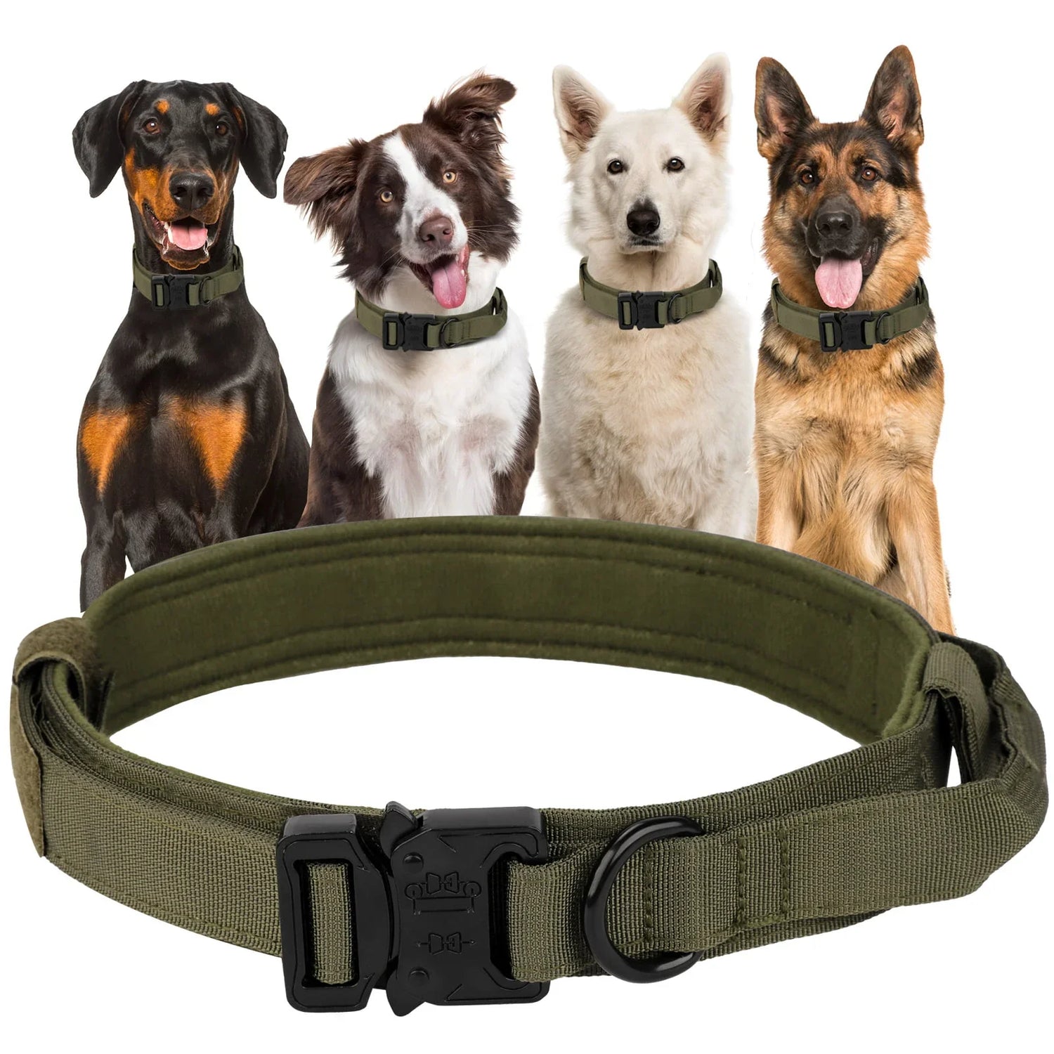 Training Collars