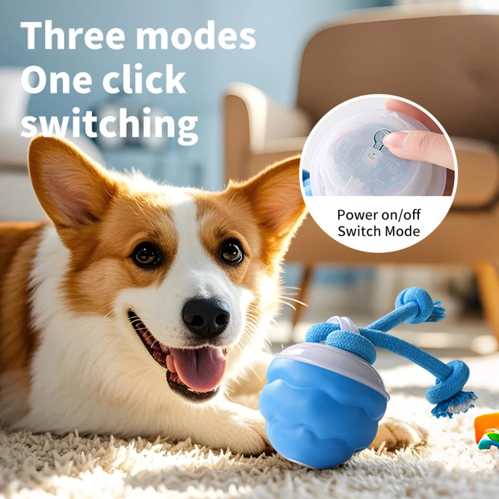 Interactive Dog Toys Ball Electric Rolling Ball USB Rechargeable Motion Activate Cat Toy 3 Modes Pet Exercise Toy for Puppies
