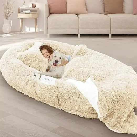 Oversized 71x45x12 Grey Memory Foam Dog Bed with Pillow, Blanket & Strap for Adults and Large Pets,