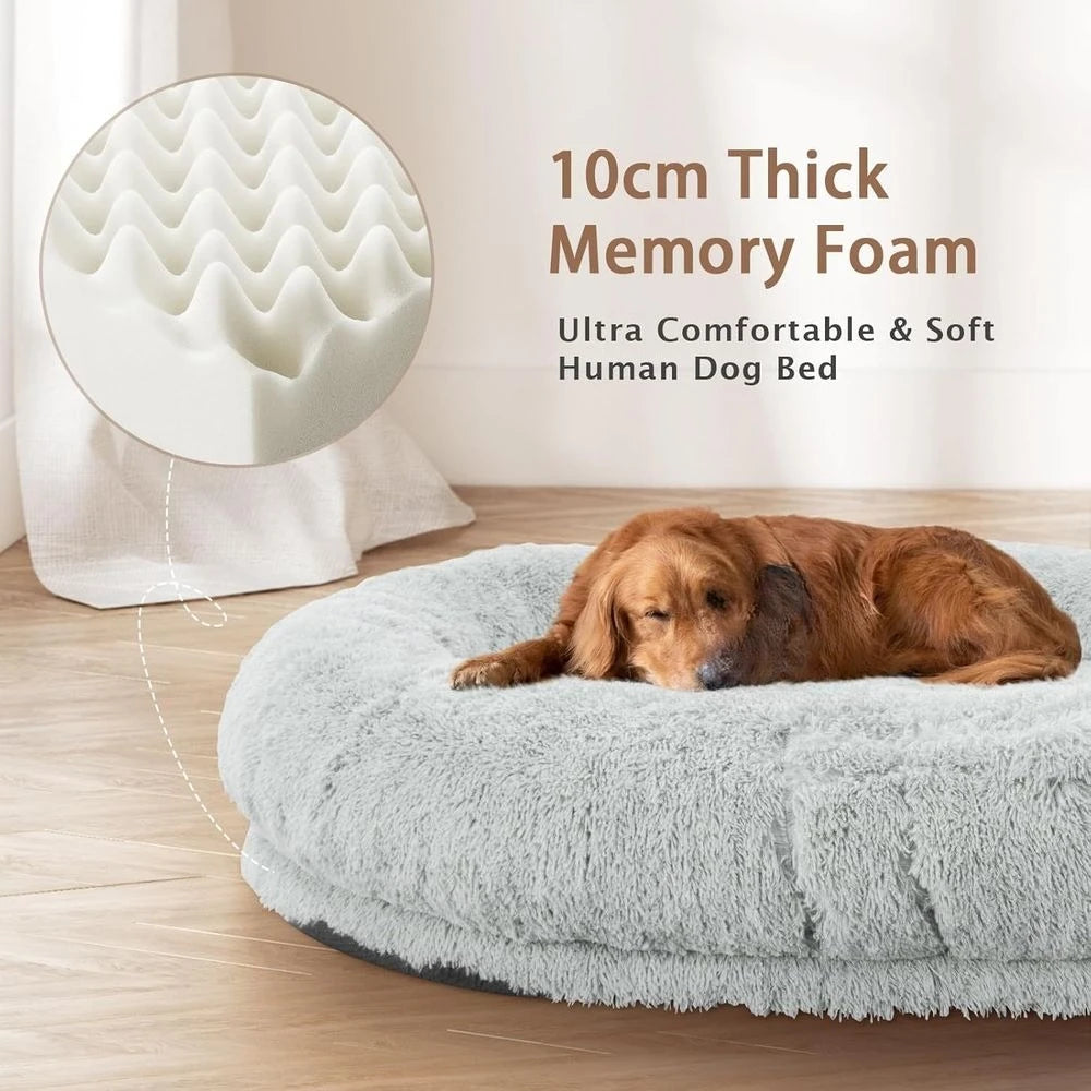 Oversized 71x45x12 Grey Memory Foam Dog Bed with Pillow, Blanket & Strap for Adults and Large Pets,