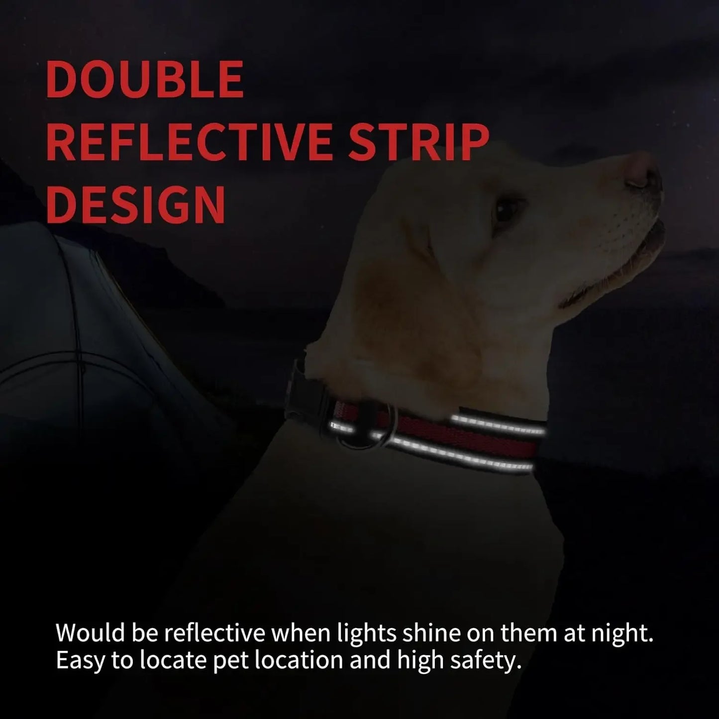 Highly Reflective Adjustable Dog Collar with Dual Metal D-Rings - Classic Colors for Small/Medium Dogs, 2-Pack (Red and Violet,M)