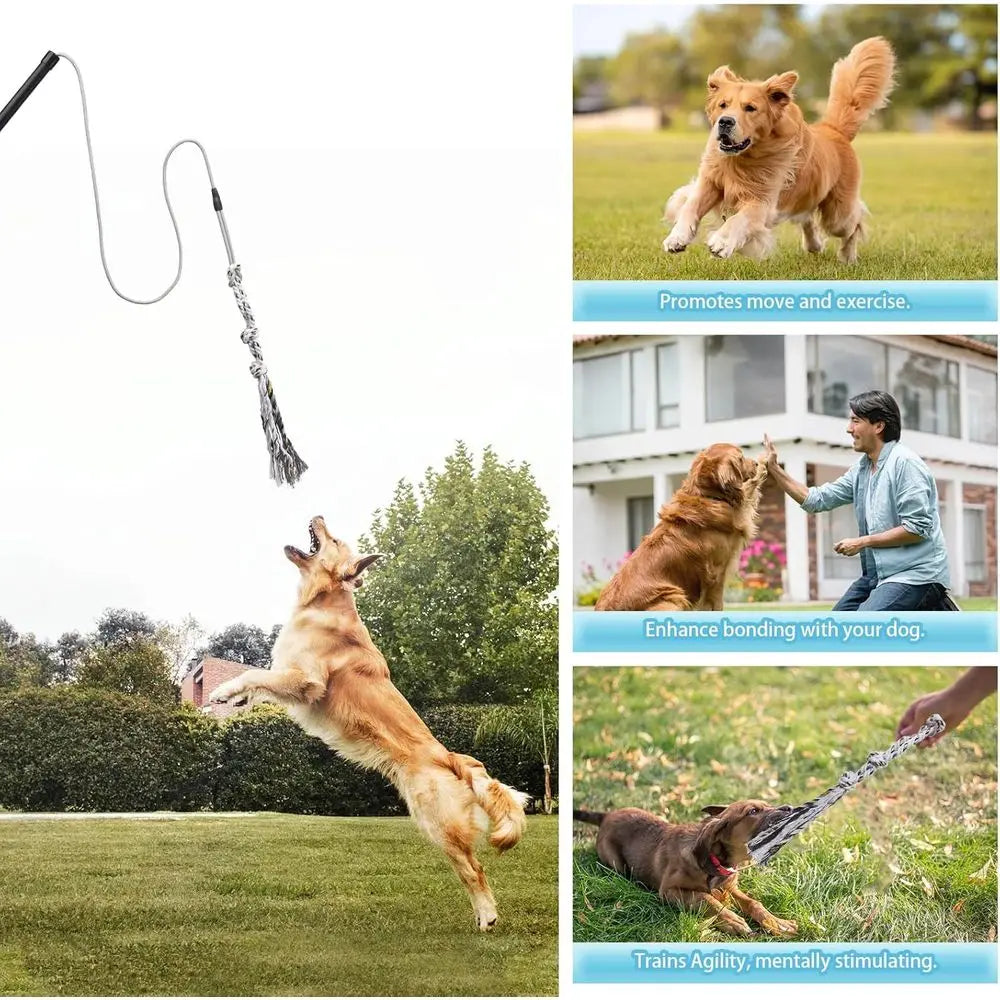 Interactive Flirt Pole, Chase and Tug o War Outdoor Dog Toys, Heavy Duty Dog Teaser Wand Chase Toys with Rope, Durable Stick Pole