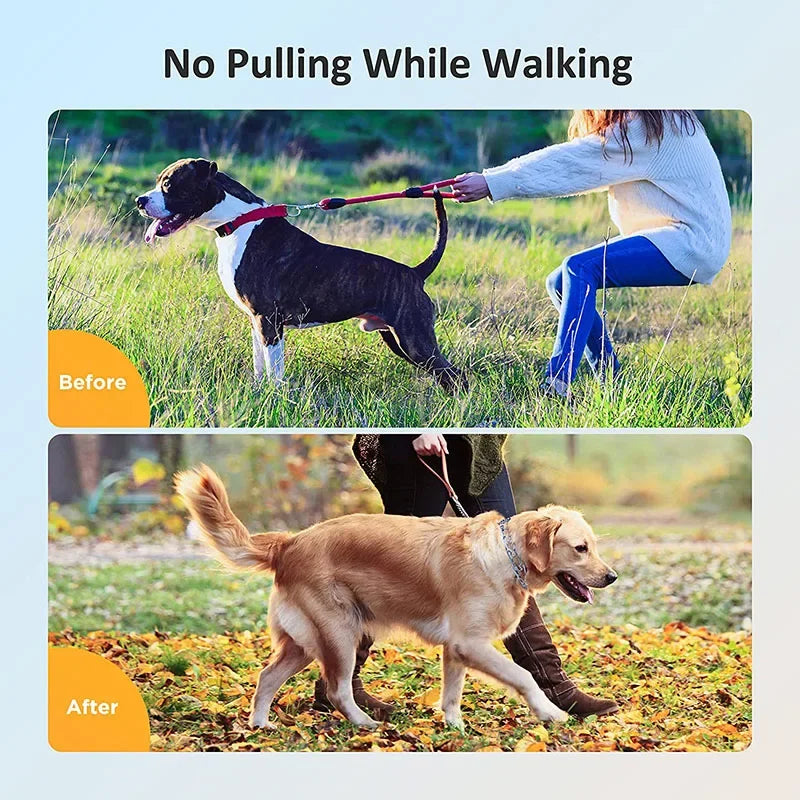 Effective Pinch Dog Training Collar With Comfort Rubber Tips Safe Adjustable Detachable Stainless Steel, Pet Prong Choke Collar