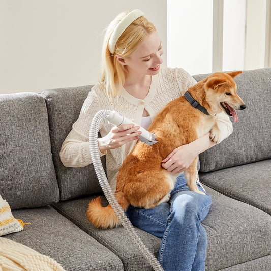 2.5L Professional Pet Grooming Vacuum Kit 3 Suction Modes and 5 Groomer Tools with Cordless Low Noise Dog Clippers