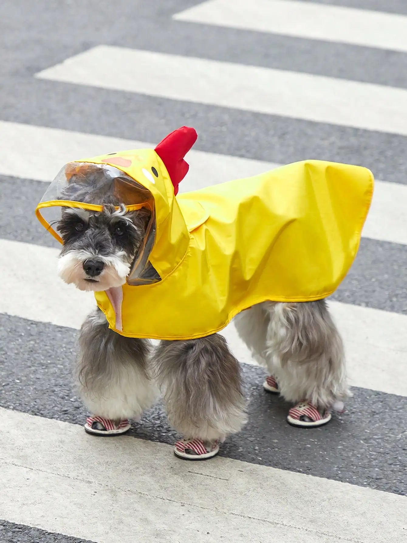 PETSIN 1pc Fabric Cartoon Bear Design Hooded Pet Raincoat For Dog And Cat For Rainy Day