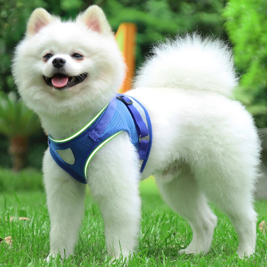 Dog Cat Harness with Adjustable Leash Reflective Safety Mesh Chest Strap Collar  Small Medium Dogs Vest Set XS/S/M/L/XL