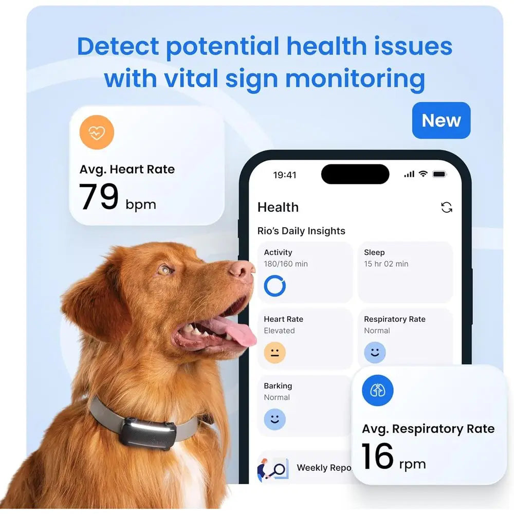 Live Pet Tracker with Virtual Fence, Heart & Respiratory Rate Monitoring, Bark Detector, and Dog Collar (Brown)