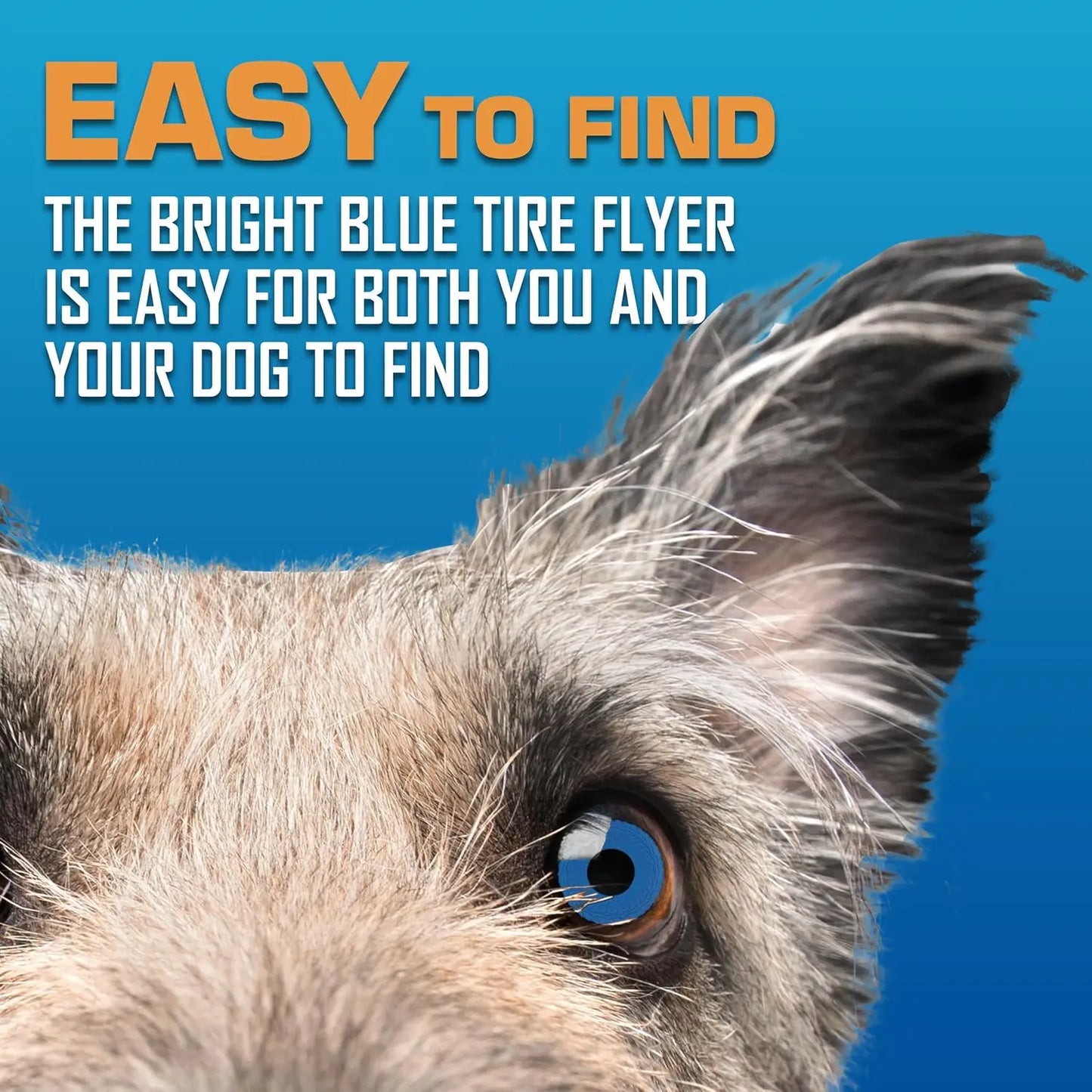 10-Inch Flying Disc Dog Toy, Rubber Fetch Toy for Medium and Large Dogs, Blue Outdoor Play