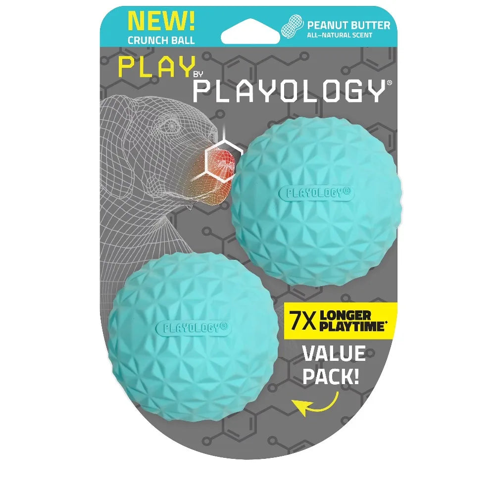 Interactive Dog Toys Crunchy Ball Toy 2-Pack for Dogs FUN PLAY