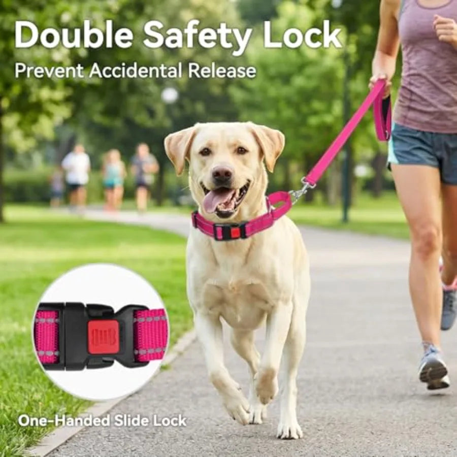 Martingale Collar for Dogs, Reflective Escape Proof Training Dog Collars with Safety Lock Buckle, No Slip Soft Nylon for Medium