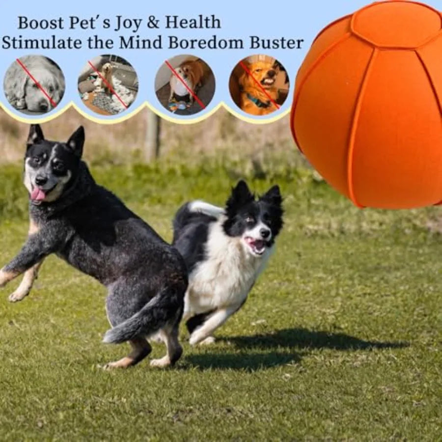 Herding Ball for Dogs Dual Layered Herding Dog Ball Set for Australian Shepherd Cattle Collie for Dog Agility Equipment
