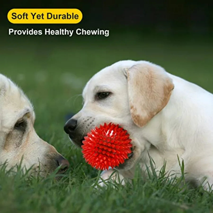 3.5" Squeaky Dog Toy Balls 6 Colors Puppy Chew Toys for Teething, BPA Free Non-Toxic, Spikey Dog Balls for Medium, Large and Sm