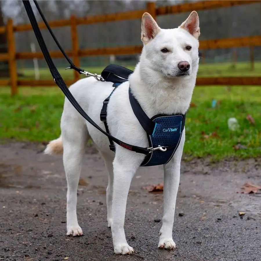 Crash Tested Dog Safety Harness Crash Tested to 32Kg 70lbs, Safely Secure Dog in The Car, Comfortable and Padded Design. for Toy
