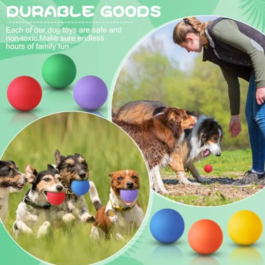 Shappy 24 Pieces Rubber Dog Tennis Balls for Dog Colorful Catching Pet Balls for Fetch Training 2.4 Inch Interactive Bounce and