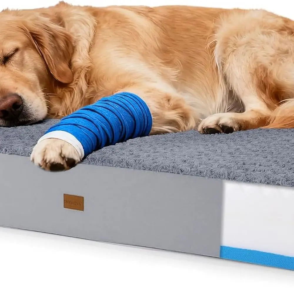 XXL Orthopedic Dog Bed with Double Memory Foam & Waterproof Cover for Large Dogs, Bolster for Joint Support & Comfort