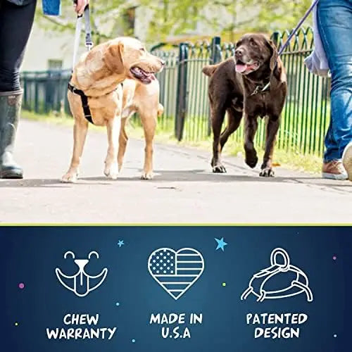 Adjustable Harness for Small/Med/Large Dogs – Easy Walks & Comfort
