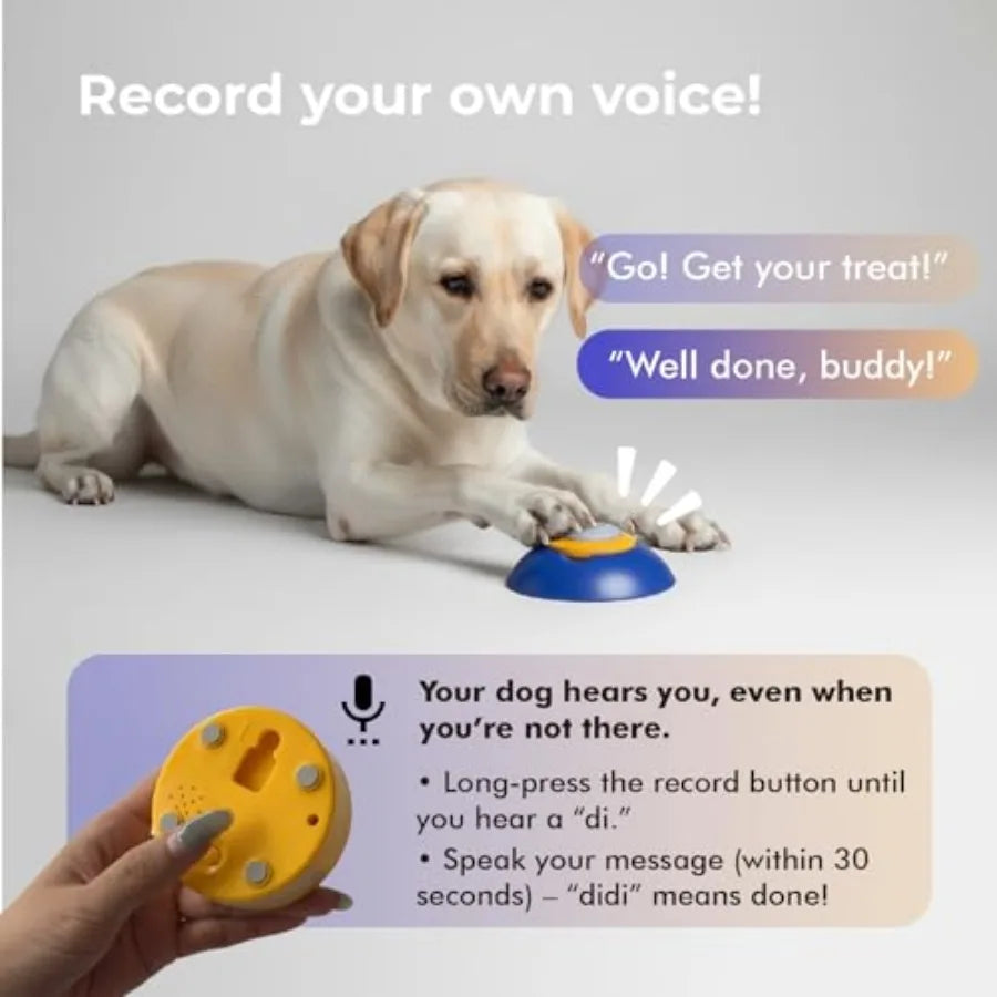 Interactive Dog Puzzle Feeder Toy, Automatic Dogs Treat Dispenser for IQ Training and Slow Feeder, Dog Food Dispenser with Remote