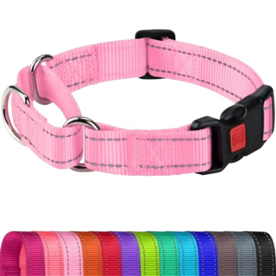 Martingale Collar for Dogs, Reflective Escape Proof Training Dog Collars with Safety Lock Buckle, No Slip Soft Nylon for Medium
