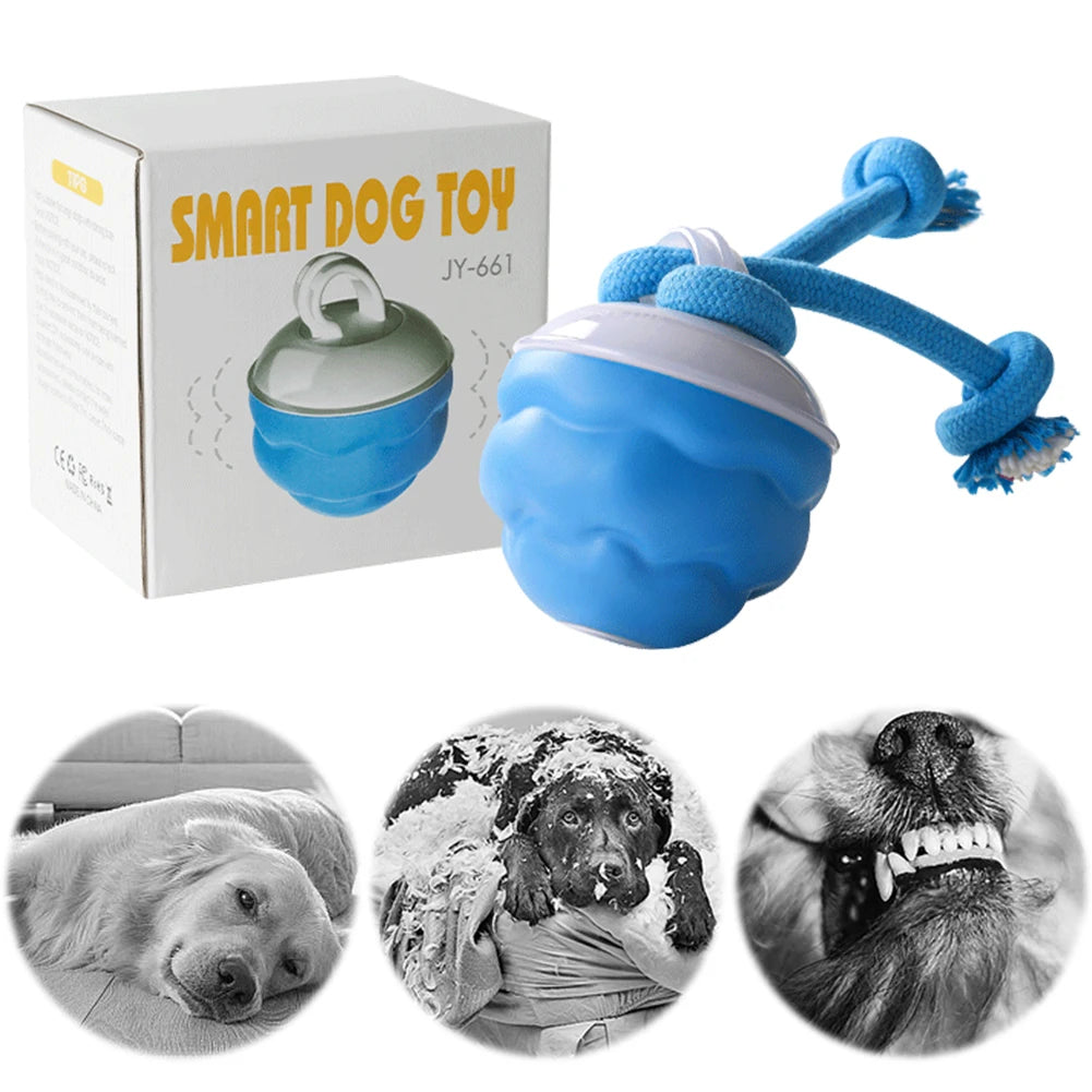 Interactive Dog Toys Ball Electric Rolling Ball USB Rechargeable Motion Activate Cat Toy 3 Modes Pet Exercise Toy for Puppies
