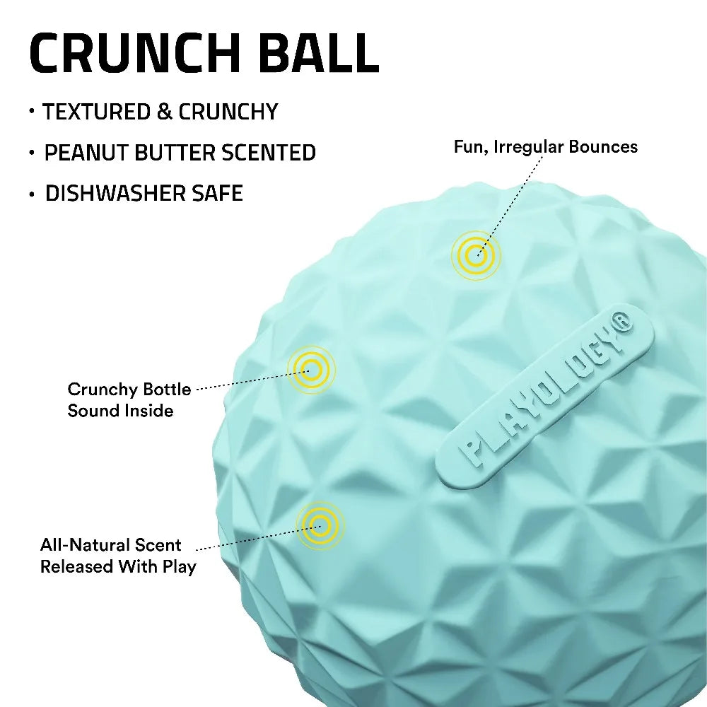 Interactive Dog Toys Crunchy Ball Toy 2-Pack for Dogs FUN PLAY