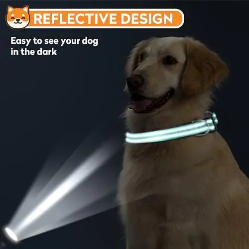 Reflective Dog Collar for Medium Dogs – Adjustable Soft Collar with Buckle & Teal Color