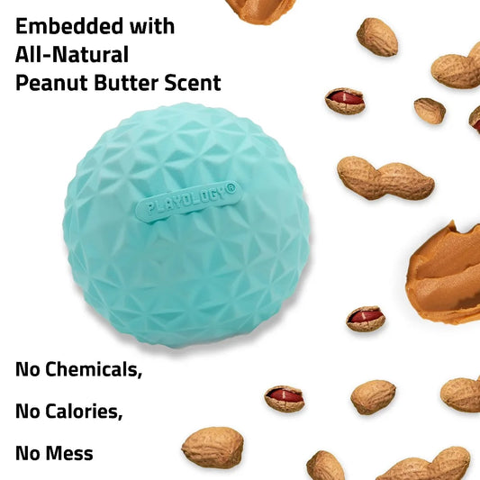 Interactive Dog Toys Crunchy Ball Toy 2-Pack for Dogs FUN PLAY
