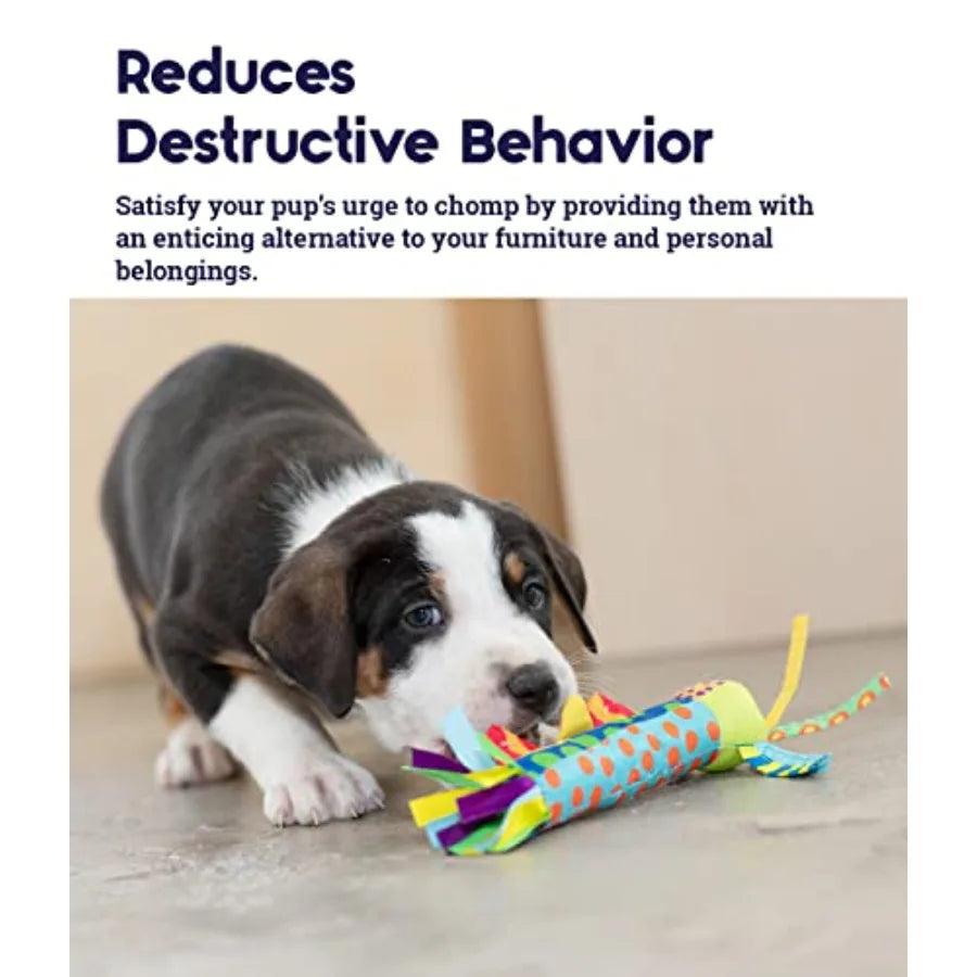 Cool Puppy Chew Toy for 0 6 Month Puppies, Teething Relief, Freezable and Durable