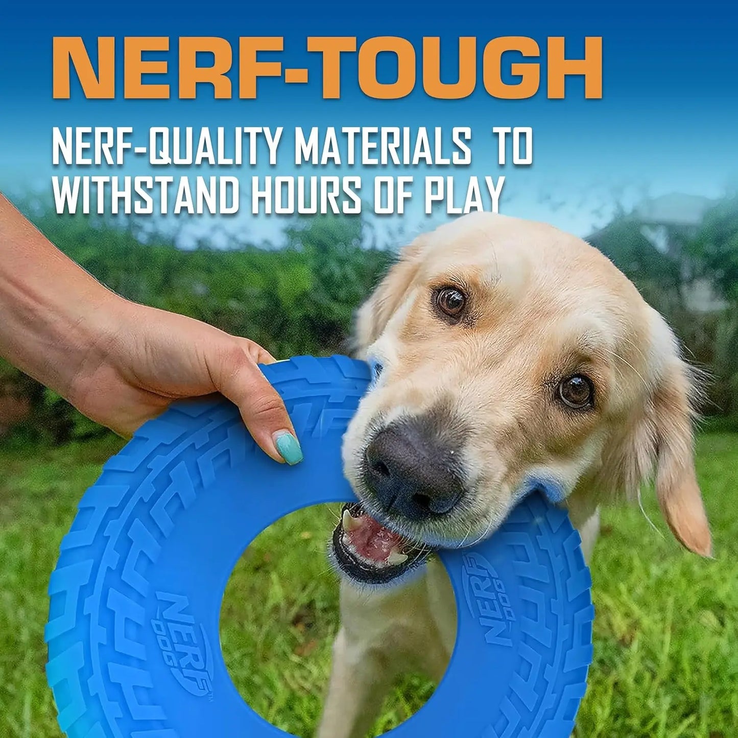 10-Inch Flying Disc Dog Toy, Rubber Fetch Toy for Medium and Large Dogs, Blue Outdoor Play