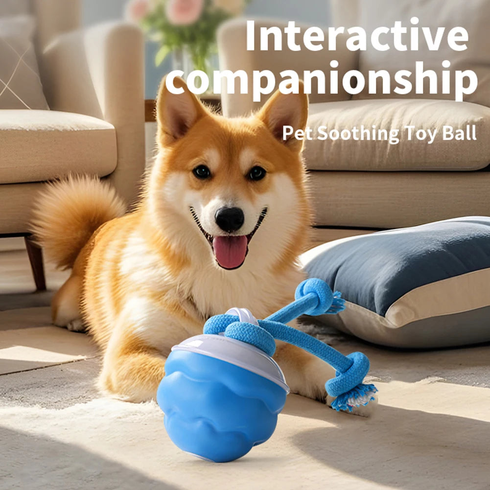 Interactive Dog Toys Ball Electric Rolling Ball USB Rechargeable Motion Activate Cat Toy 3 Modes Pet Exercise Toy for Puppies