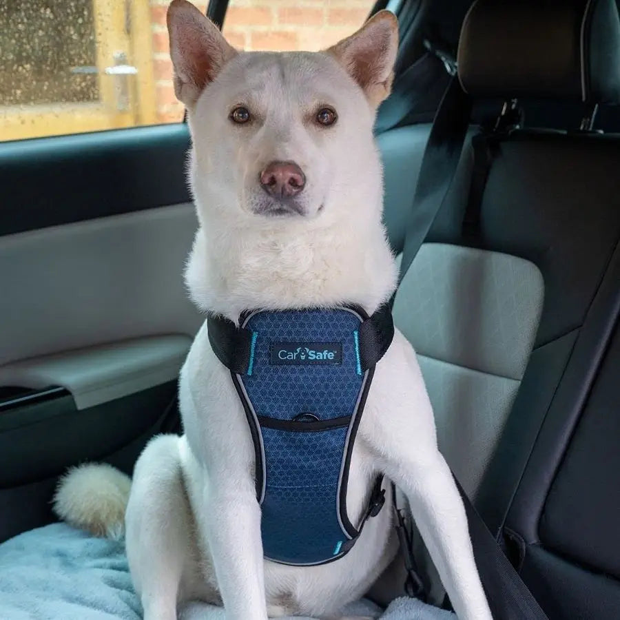 Crash Tested Dog Safety Harness Crash Tested to 32Kg 70lbs, Safely Secure Dog in The Car, Comfortable and Padded Design. for Toy