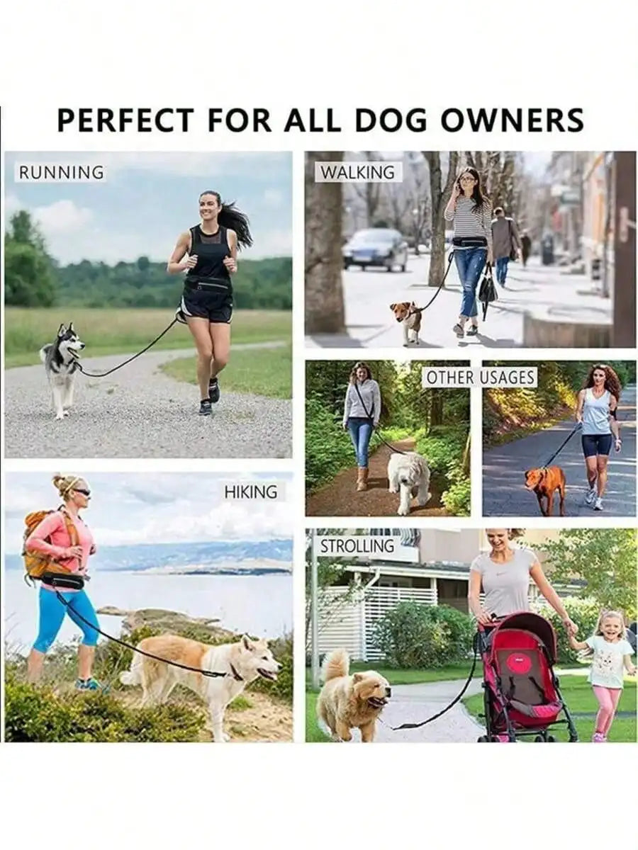 Elastic Tactical Waist Dog Leash, Impact Resistant for Running Walking