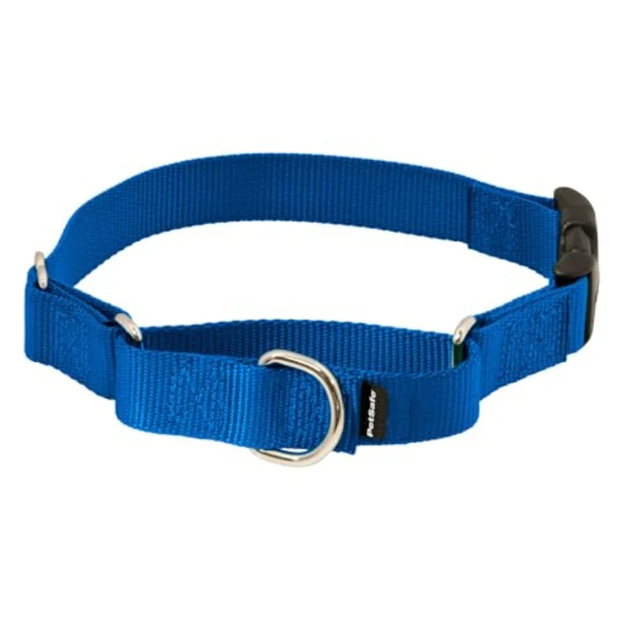 Royal Blue Adjustable Martingale Dog Collar with Quick-Snap Buckle - 3/4 Wide No-Slip Everyday Wear No-Pull Training Aid