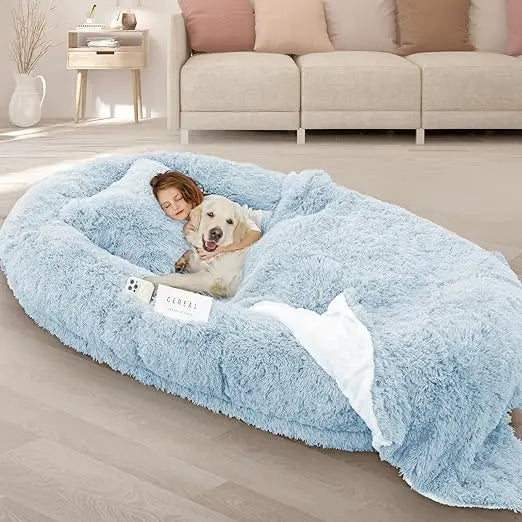 Oversized 71x45x12 Grey Memory Foam Dog Bed with Pillow, Blanket & Strap for Adults and Large Pets,