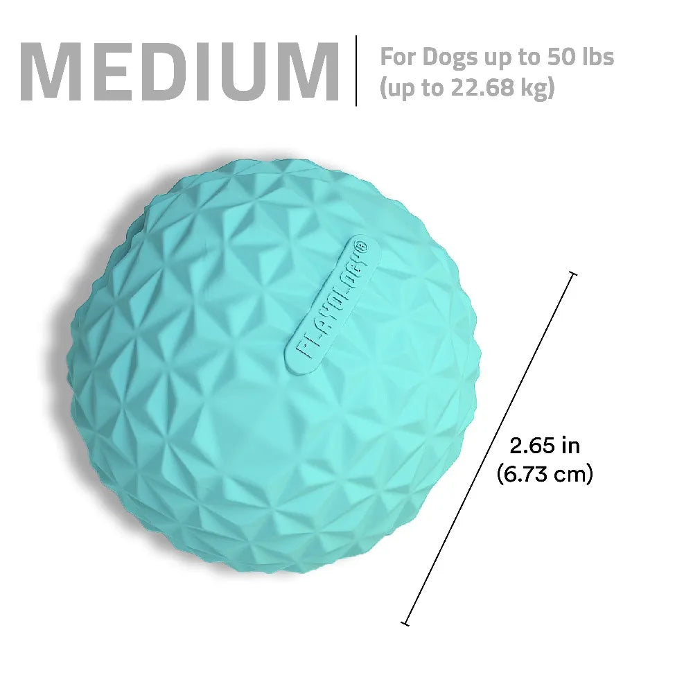 Interactive Dog Toys Crunchy Ball Toy 2-Pack for Dogs FUN PLAY