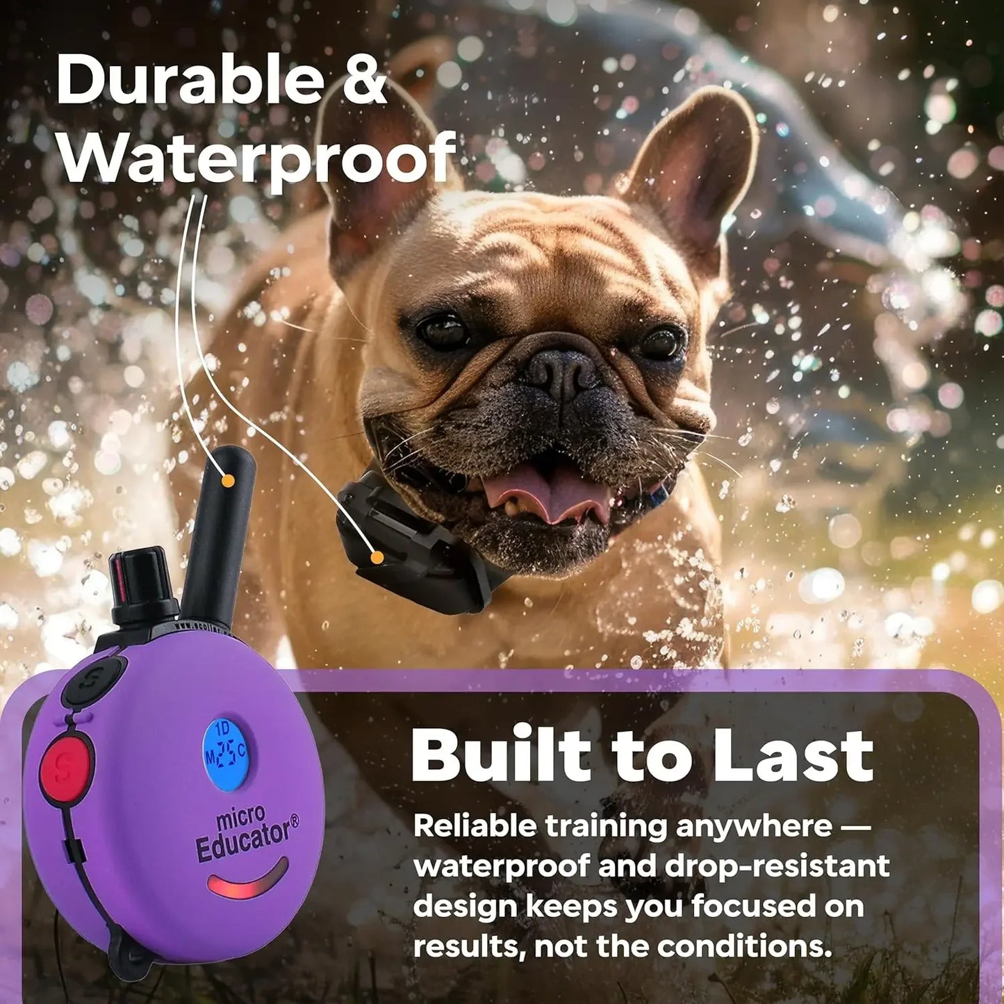hot-sellingME-300 Micro E Collar for Dog Training with Remote - 1/3 Mile Range, Waterproof, 100 Blunt Stimulation Levels, Tone o