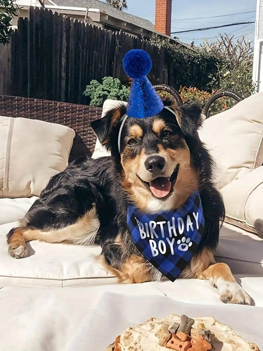4pcs Slogan Graphic Pet Bandana & Hat & Bow Set For Dog And Cat For Birthday Party