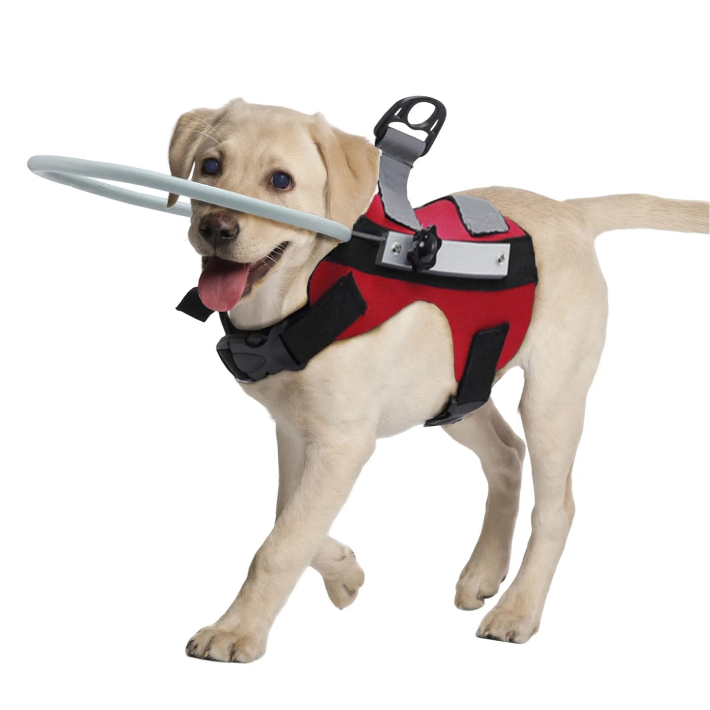 Blind Dog Halo Harness, Anti-Collision Blind Halo Ring for 11"-20" Visually Impaired Pets