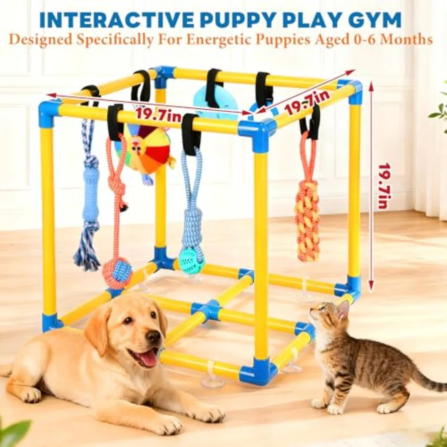 Puppy Play Gym for Small Dogs with 10 Hanging Toys Removable Indoor Jungle Gym PVC Frame with Adjustable Bungee Straps Interact