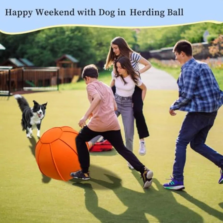 Herding Ball for Dogs Dual Layered Herding Dog Ball Set for Australian Shepherd Cattle Collie for Dog Agility Equipment